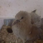 FB_IMG_1520448592788