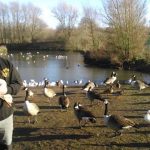 FB_IMG_1520449121147
