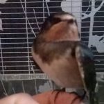 FB_IMG_1520449249341